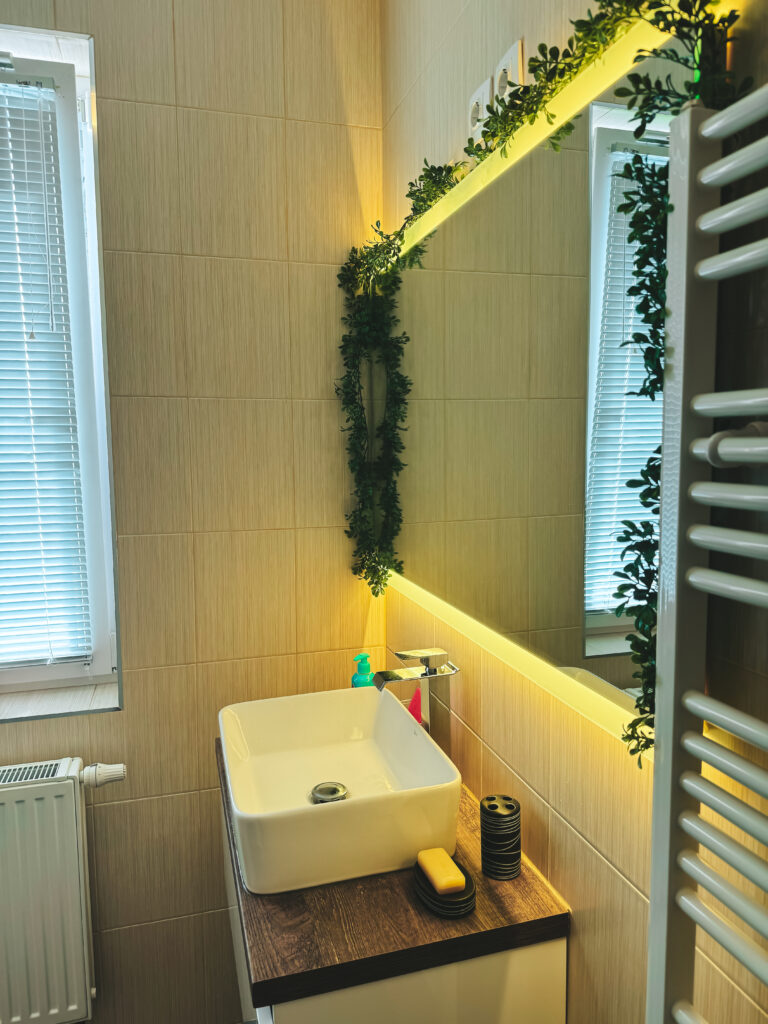 Vica Apartman Gyula Fürdőszoba