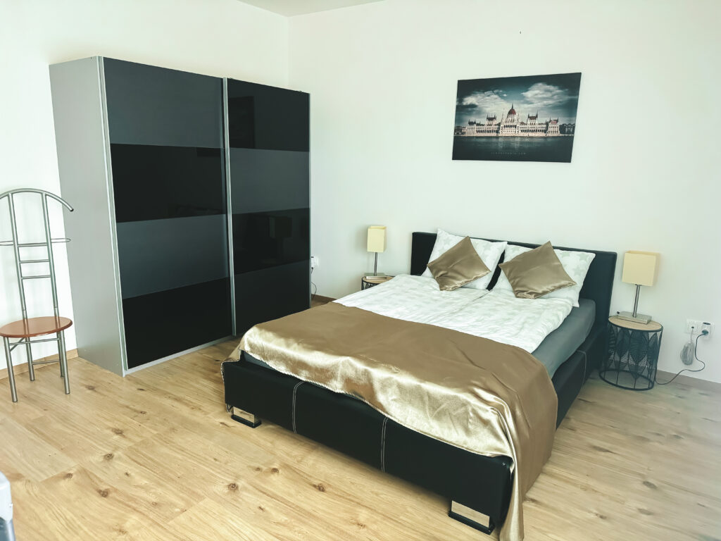 Vica Apartman Gyula Szoba